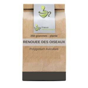 tisane renouée des oiseaux