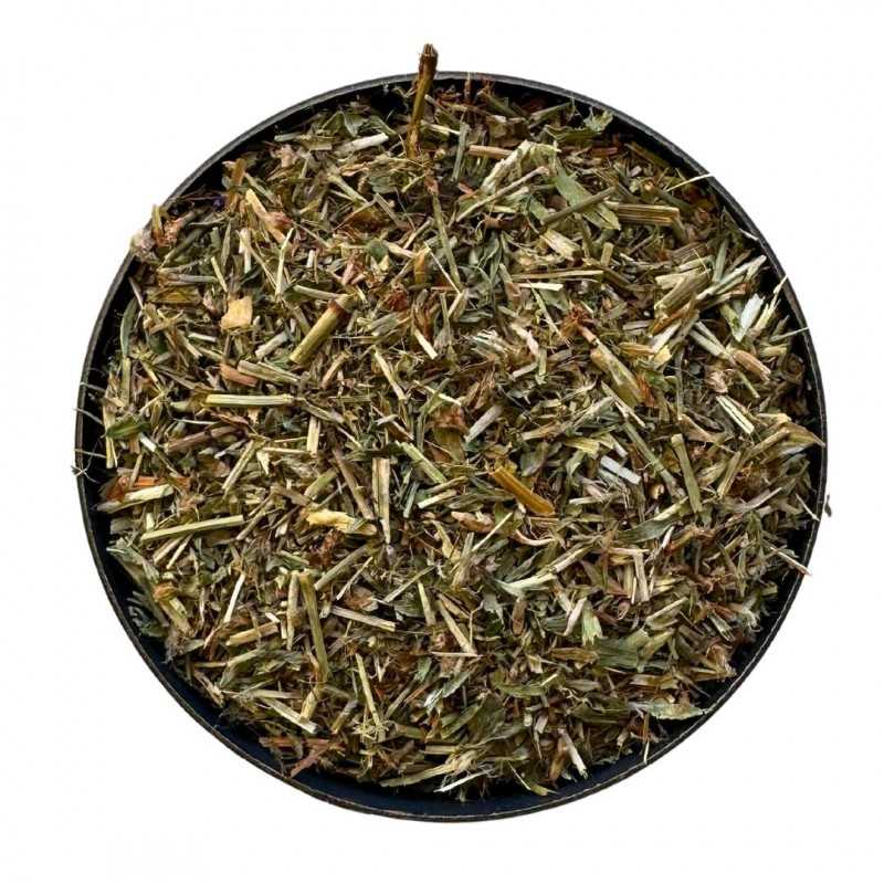 Pulgar de pájaro: beneficios y usos en fitoterapia