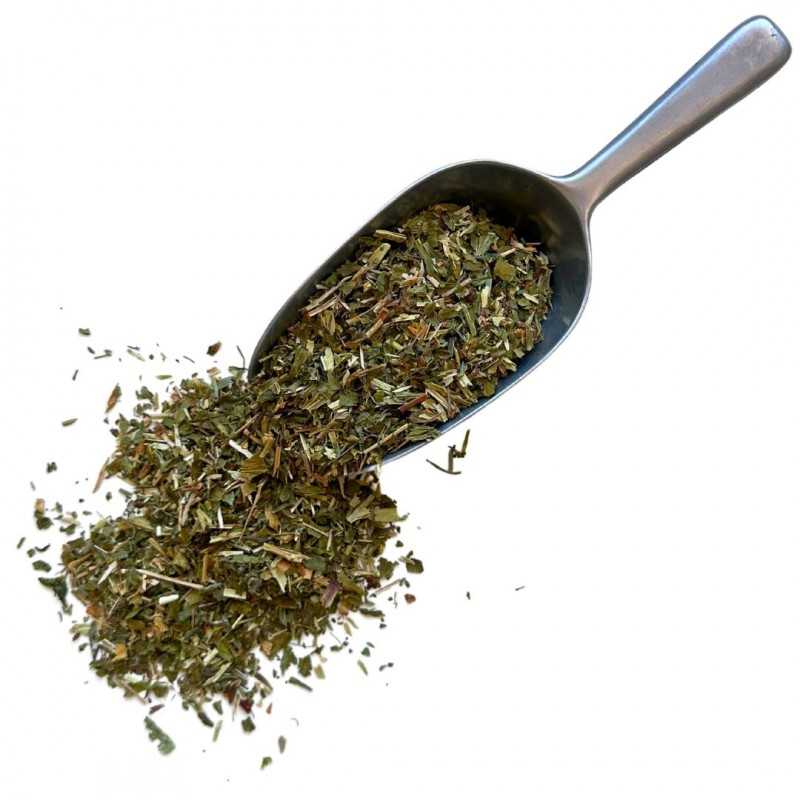 Saponaria: botánica, beneficios y uso en fitoterapia