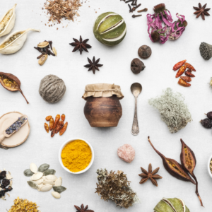 L’herboristerie pour les voyageurs : les plantes essentielles à emporter dans