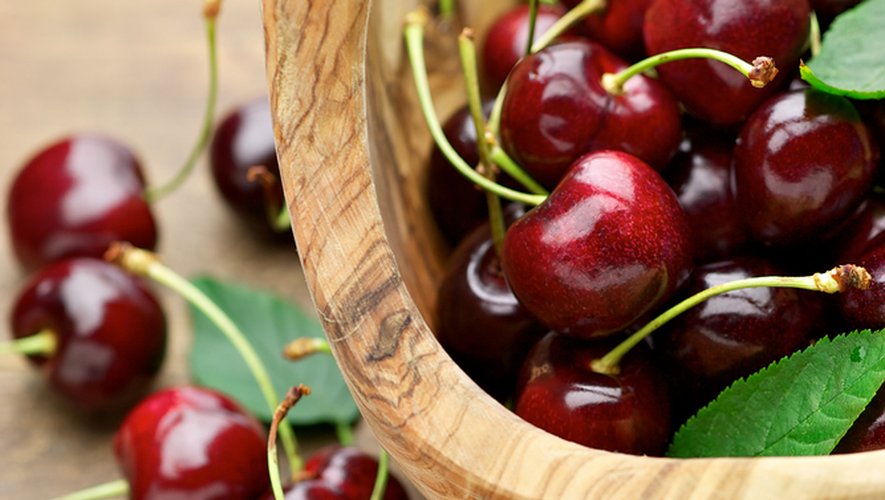 Queues de cerises fraîches vs. séchées