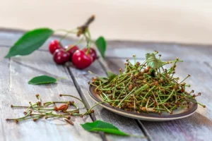 Queues de cerises : un atout dans votre parcours minceur ?