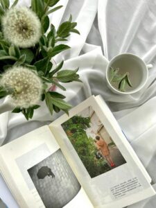 Les bienfaits de la tisane pissenlit