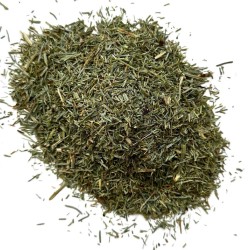 Tisane Prêle des champs  (Queue de Chat) plante.