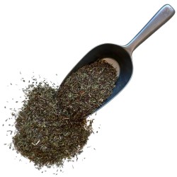 Tisane Serpolet plante  Thymus serpyllum.