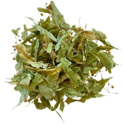 Tisane Tilleul Carpentras ENT  Tilia platyphyllos.