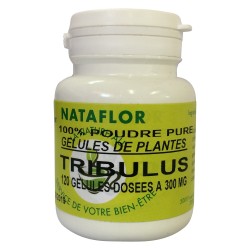 GELULES TRIBULUS gélules dosées à 300mg.