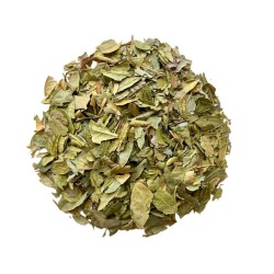 Tisane Boldo feuille  Peumus boldus.
