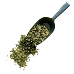 Tisane Desmodium  Desmodium adscendens (qualité extra).