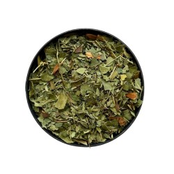 Tisane Frêne élevé feuille  Fraxinus excelsior.