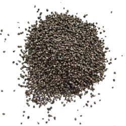 Tisane Gattilier fruit ENTIER rs Vitex agnus-castus