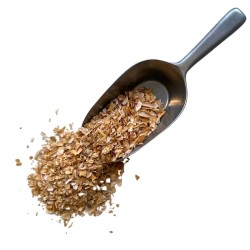 Tisane Haricot Cosse  Phaseolus vulgaris.