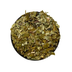 Tisane Maté vert feuille  Ilex paraguayensis.