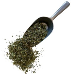 Tisane Noisetier (Coudrier) feuille  Corylus avellana
