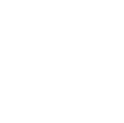 icone instagram