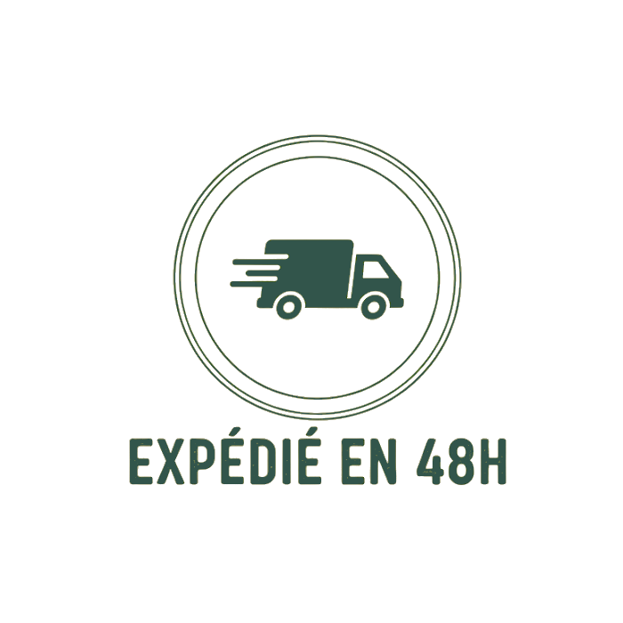 Logo livraison